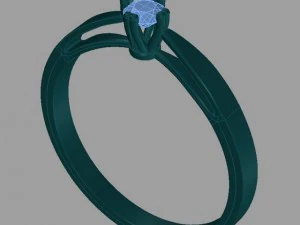 ring 04 3D Print Model