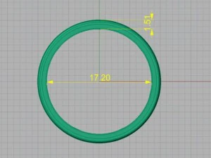 ring 06 3D Print Model