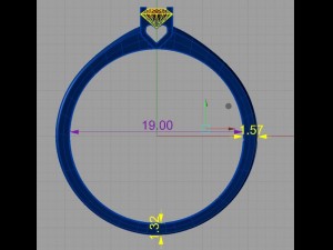 ring 10 3D 打印模型