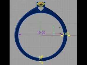 ring 10 3D Print Model