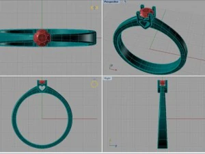 ring 10 3D Print Model