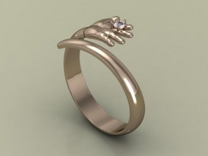 ring 12 3D Print Model