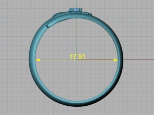 ring 12 3D Print Model