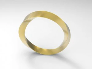ring 14 3D Print Model