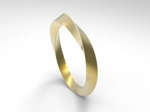ring 14 3D Print Model