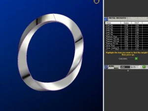 ring 14 3D Print Model