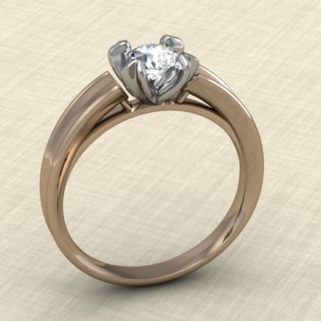 ring 15 3D प्रिंट मॉडल .c4d .max .obj .3ds .fbx .stl .blend 