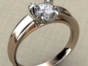 ring 15 3D Print Model