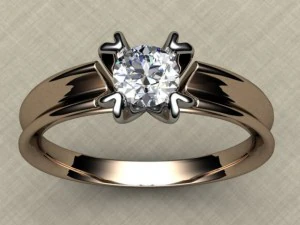 ring 15 3D Print Model