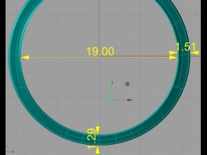 ring 16 3Dプリントモデル