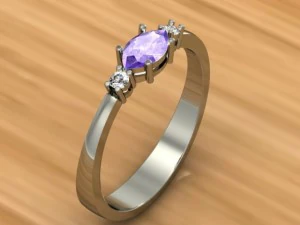 ring 17 3D Print Model