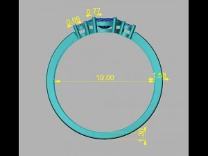 ring 17 3D Print Model
