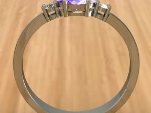 ring 17 3D Print Model