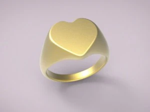 кільце 17 3D Принт Модель