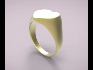 ring 17 3D Print Model