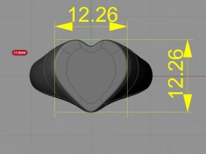 ring 17 3D Print Model