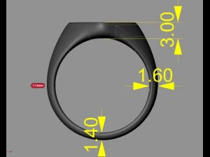ring 17 3D Print Model