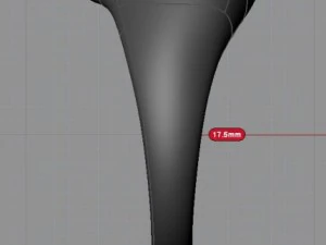 ring 17 3D Print Model