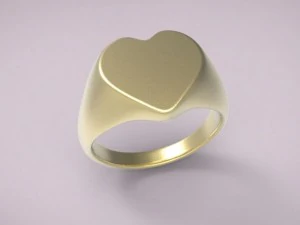 ring 17 3D Print Model