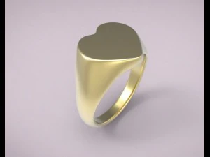 ring 17 3D Print Model