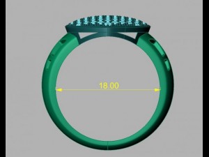 ring heart 00 3D 打印模型
