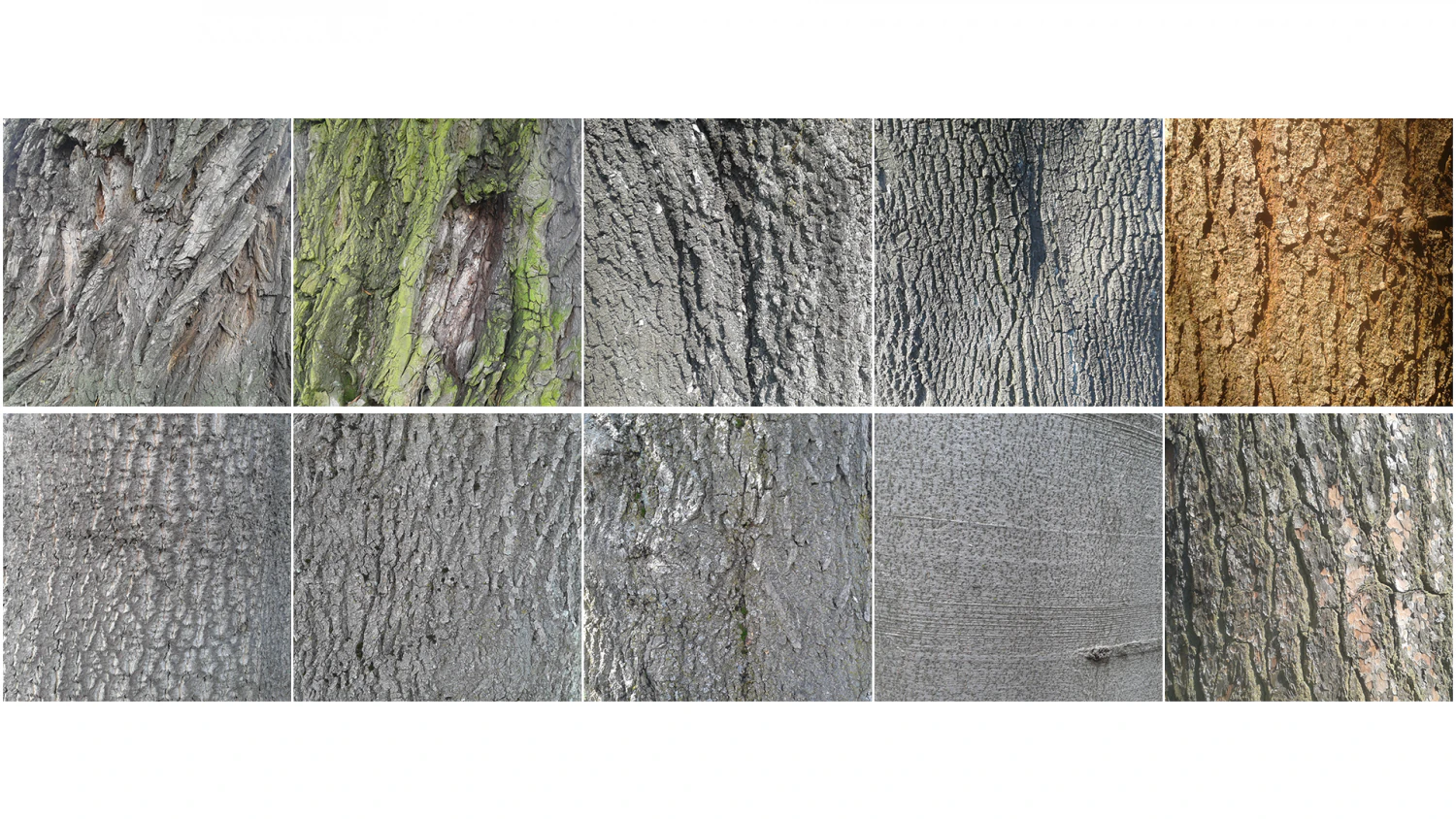 나무껍질 텍스처 팩 CG 텍스쳐 .c4d .max .obj .3ds .fbx .stl .blend 