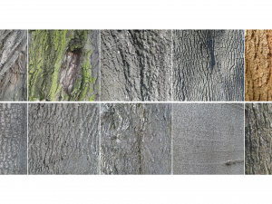 bark texture pack CG Tekstury