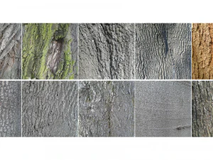 bark texture pack CG Textures