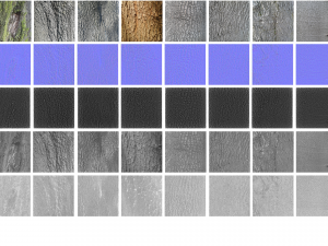 bark texture pack CG Textures