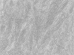 나무껍질 텍스처 팩 CG 텍스쳐