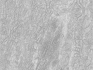 나무껍질 텍스처 팩 CG 텍스쳐