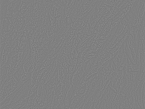bark texture pack CG Textures