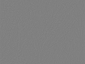 나무껍질 텍스처 팩 CG 텍스쳐