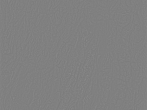 bark texture pack CG Textures