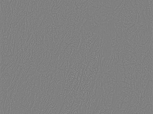 나무껍질 텍스처 팩 CG 텍스쳐