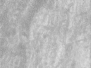 stone texture pack 01 CG Textures
