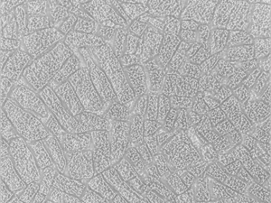 stone texture pack 02 CG Textures