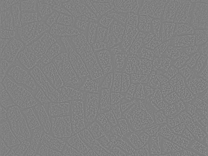 stone texture pack 02 CG 텍스쳐