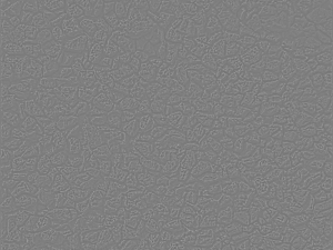 stone texture pack 02 CG 텍스쳐
