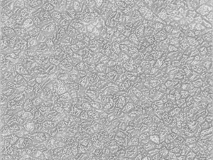 stone texture pack 02 CG 텍스쳐