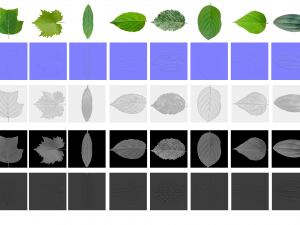 leaf texture 10 pack CG Текстуры
