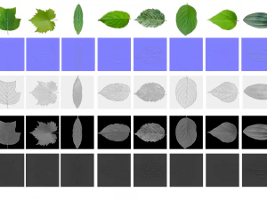 trama delle foglie, confezione da 10 CG Textures