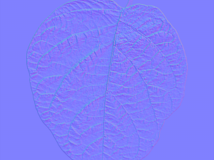 leaf texture 10 pack CG Текстуры