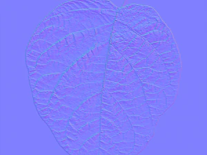 trama delle foglie, confezione da 10 CG Textures