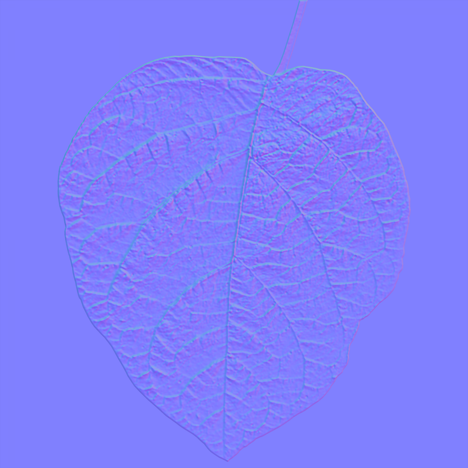 Leaf Texture 10 Pack 3d 모델 In 자연 3dexport 7974