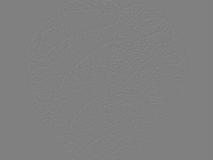 trama delle foglie, confezione da 10 CG Textures