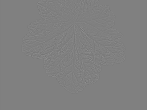leaf texture 10 pack CG Текстуры