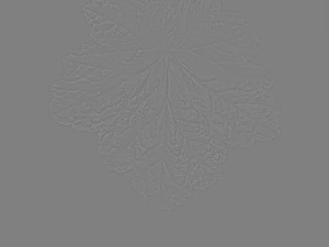 trama delle foglie, confezione da 10 CG Textures