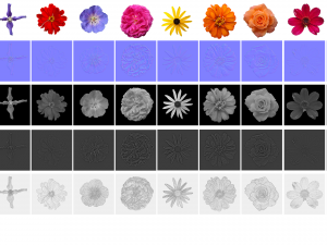 flower texture 10 pack CG Текстури