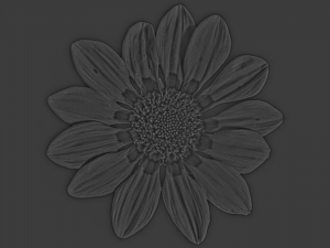 flower texture 10 pack CG Текстури